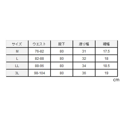 作業ウェアPUMA PW - 3045G カーゴパンツ ヒロミ 限定コラボ